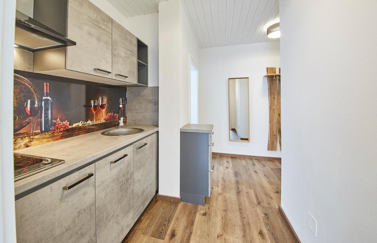 Appartements Haus Alexander Saalbach-Hinterglemm Zewnętrze zdjęcie